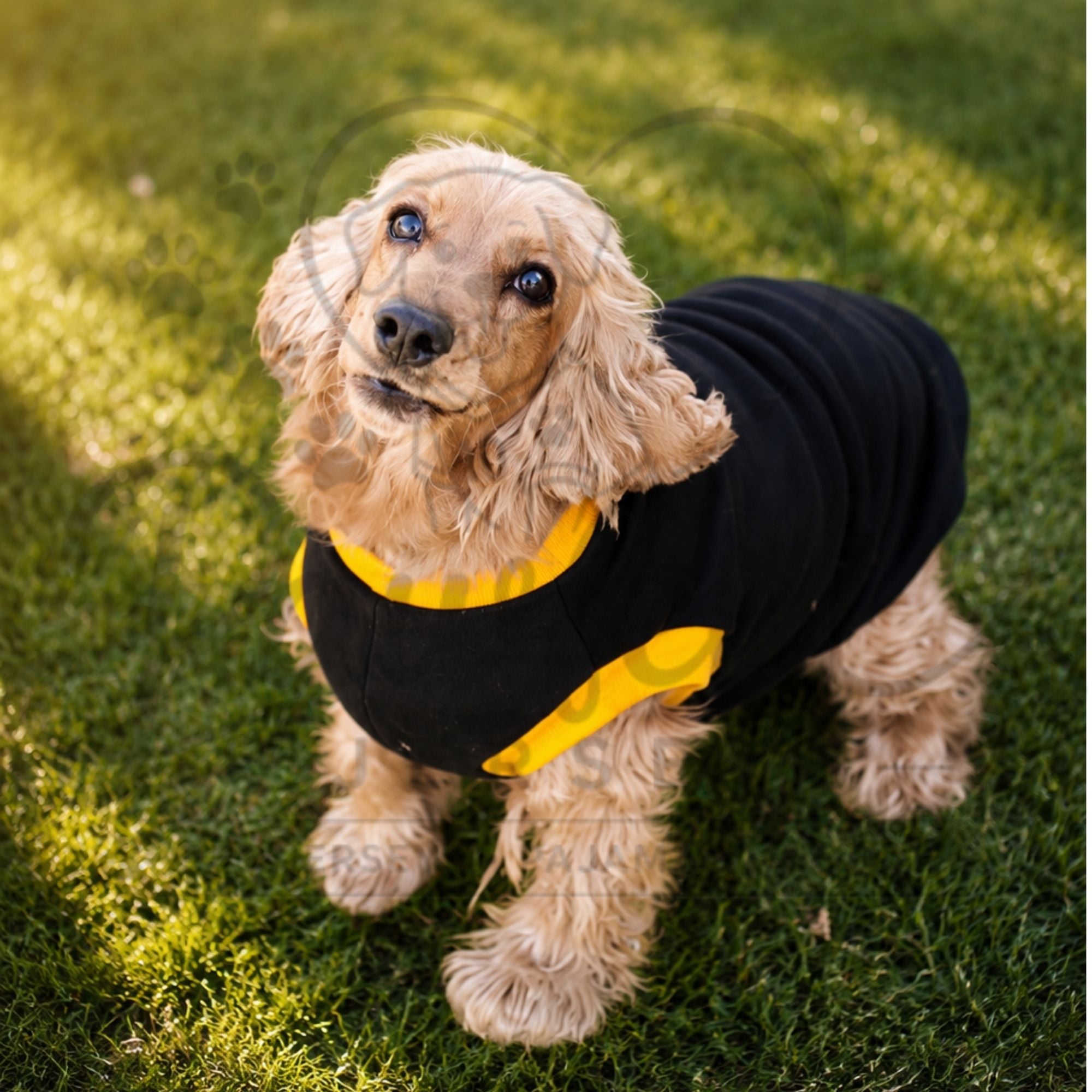 Polar Fleece Jersey Plain