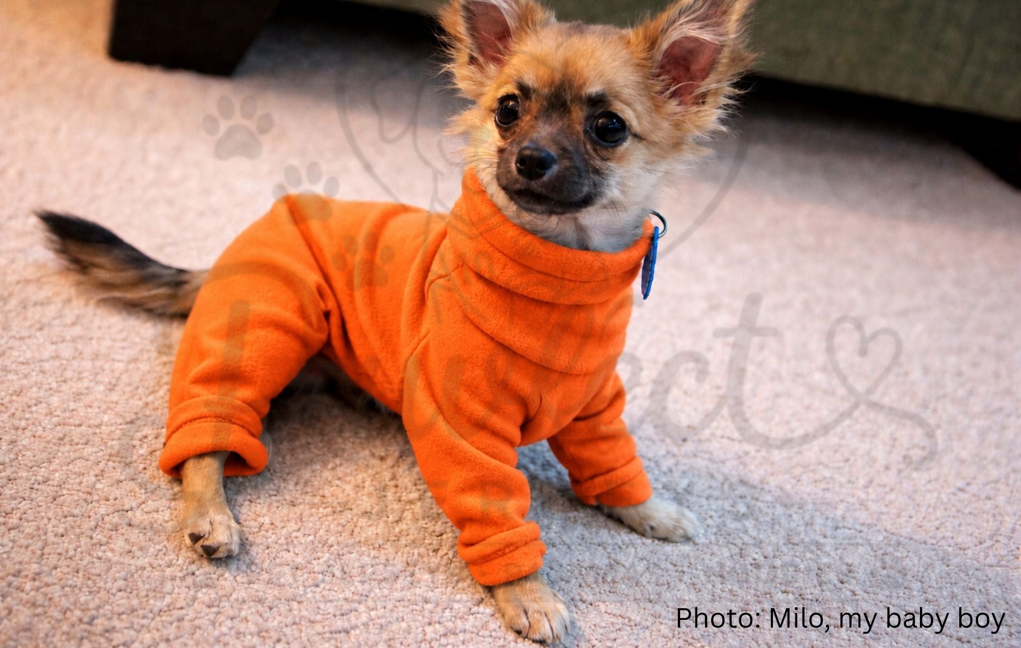 Polar Fleece PJ's Plain