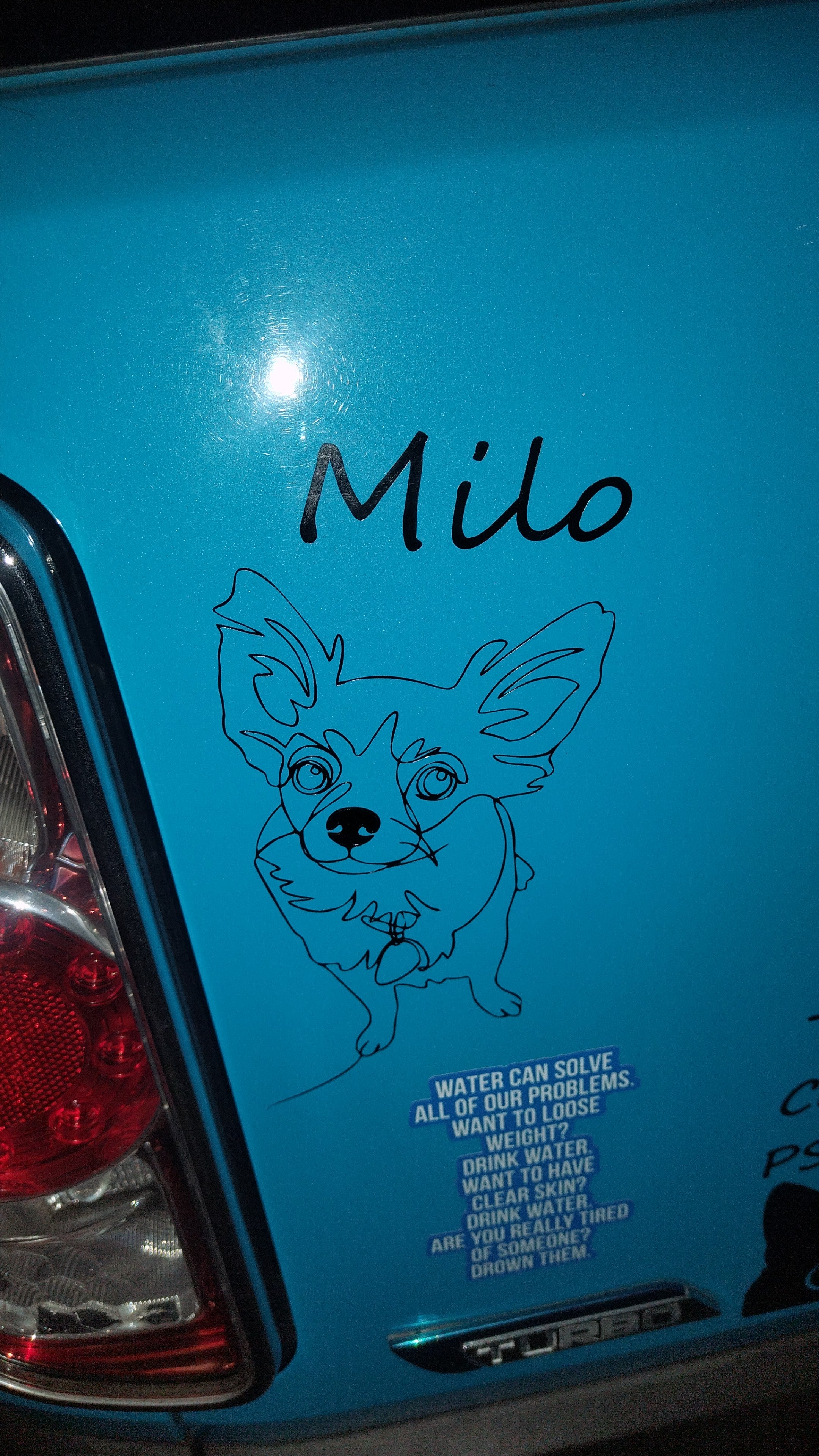 Pawsome Decal