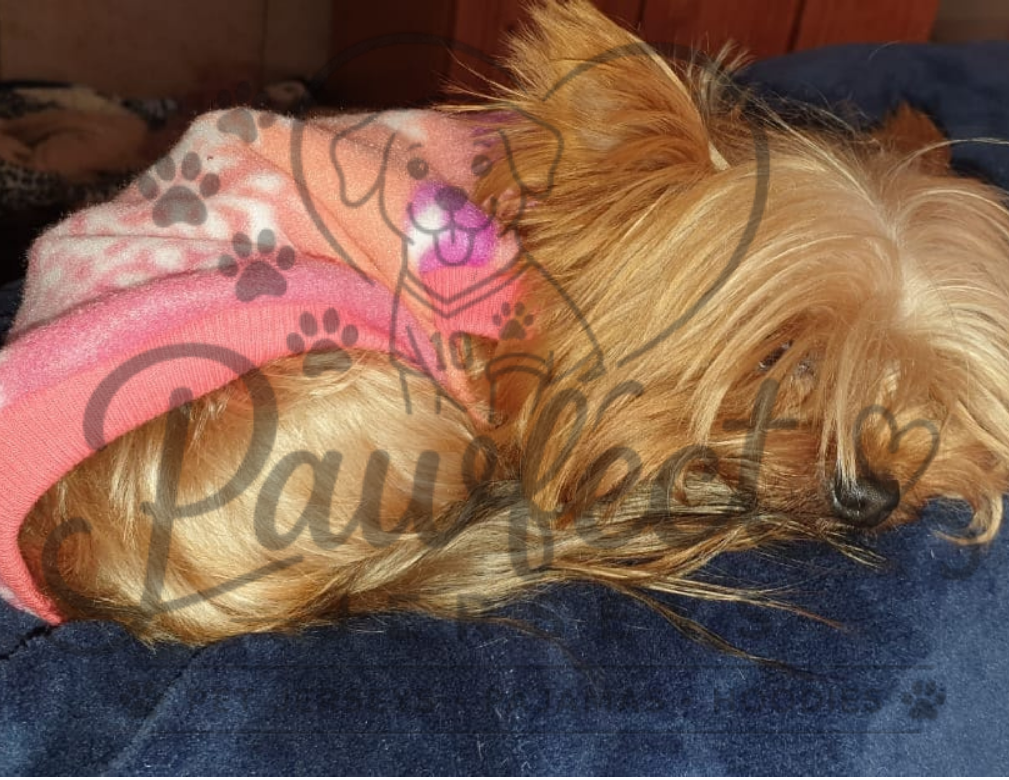 Polar Fleece Jersey Pattern